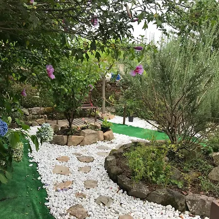 A Casina De Esther Teo