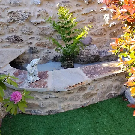 A Casina De Esther Teo